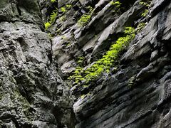 -龙水峡地缝景区