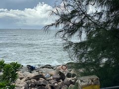 -广东惠东海龟国家级自然保护区