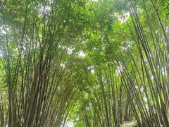 -成都杜甫草堂博物馆