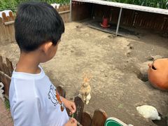 -枫叶小镇奥特莱斯