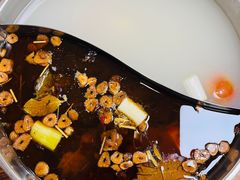鸳鸯锅-肥婆麻辣火锅.顺德首创药材麻辣火锅(容桂店)