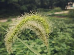 -苏州吴中太湖旅游区