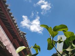 -暨阳湖生态园