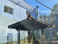 -大连森林动物园