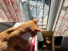 -新荟城(望京店)