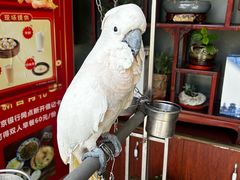 -四海楼(如皋定慧禅寺店)