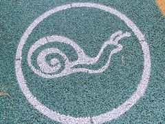 -桤木河湿地公园