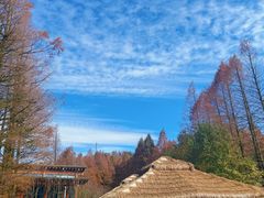 -山王坪喀斯特国家生态公园