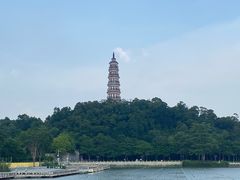 -顺峰山公园