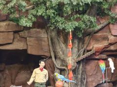 -长鹿旅游休博园