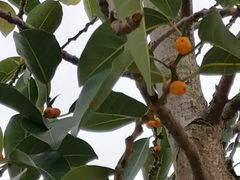 -白沙门生态公园