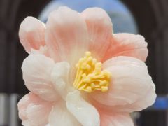 -那家·油麻菜馆(先农大院店)