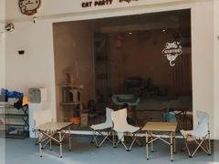 -猫咪派对(江南西店)
