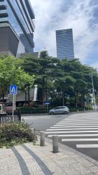 -英芬国际月子中心(岛屿度假月子·洲至奢选香岚店)