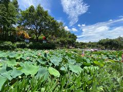 -广州莲花山旅游区