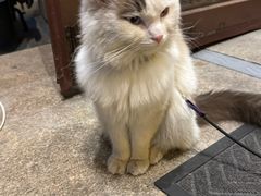 -鸥迪足道会馆(北京街店)