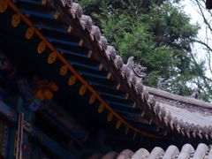 -碑林公园