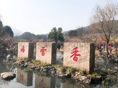 -香雪海