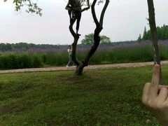 -艾溪湖湿地公园