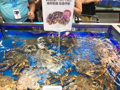 -盒马鲜生(大成店)