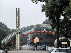 -南山植物园