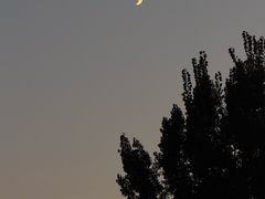 -花腰餐吧Bistro烧烤 傣味(传媒大学店)