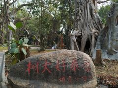 -瑞丽独树成林风景区