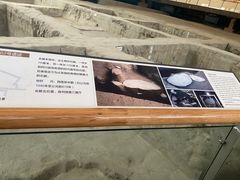 -金沙遗址博物馆