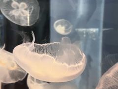 -浙江自然博物院(杭州馆)