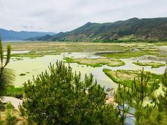 -泸沽湖国家级风景名胜区走婚桥