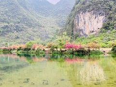 -靖西鹅泉风景区