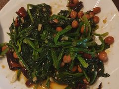 -纯肴大东北(新城北街店)