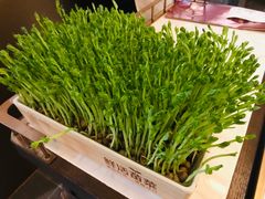 有机豆苗-捞神煲汤火锅(湖滨商业街店)