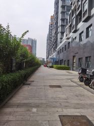 -瑞晨曦催乳产后健康(枣园店)