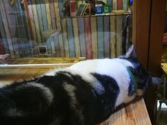 -小时光咖啡馆(开森度假森林店)