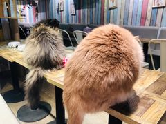 -小时光咖啡馆(开森度假森林店)