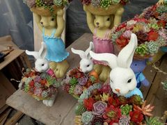 -龙大花卉苗木市场