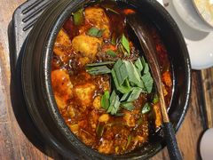 -陈麻婆豆腐(旗舰店)