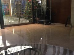 -香港港岛英迪格酒店