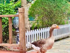 -南宫五洲植物乐园