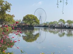 -无锡蠡湖国家湿地公园-蠡园