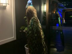 -芬芳四季养生会所(西溪店)