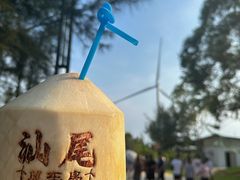-汕尾风车岛