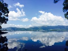 -大埔公路-马料水段香港中文大学(公交站)