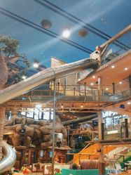 -卡通尼·Safari非洲探索乐园·生日会(金桥国际商业广场店)