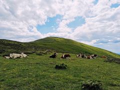 -灵山