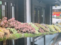 -桥边小楼·手工云南菜·古城观景小楼