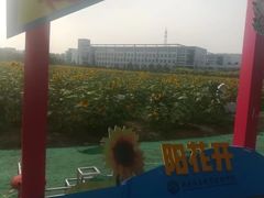 -南京信息职业技术学院