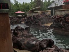 -汉拿山温泉度假酒店