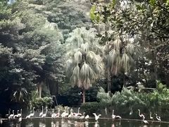 -九龙公园